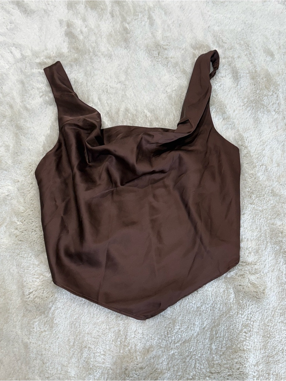 Abercrombie & Fitch Brown Satin Corset Top Size Small